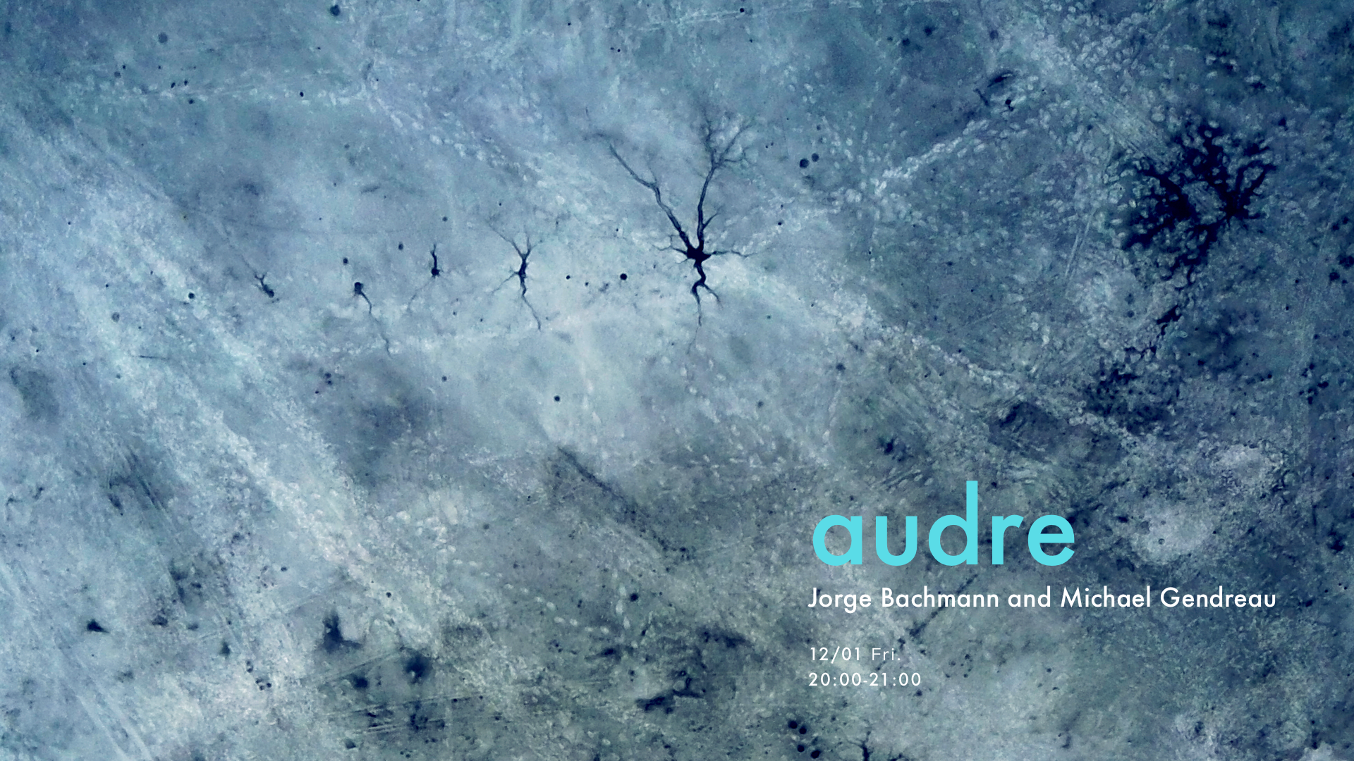 舊金山之聲「 audre 」 實驗合成器即興現場