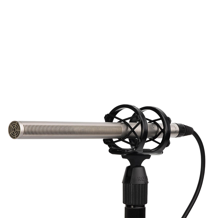 NTG3 槍型麥克風