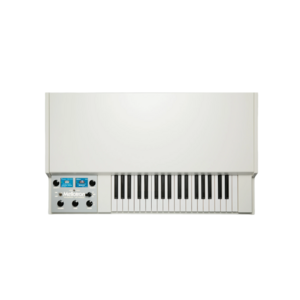 Mellotron M4000D 合成器鍵盤 - 合成器鍵盤