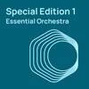 Studio Special Edition Vol. 1 基礎管弦樂音源 (下載版)