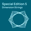 Studio Special Edition Vol. 5 Dimension Strings 弦樂音源 (下載版)