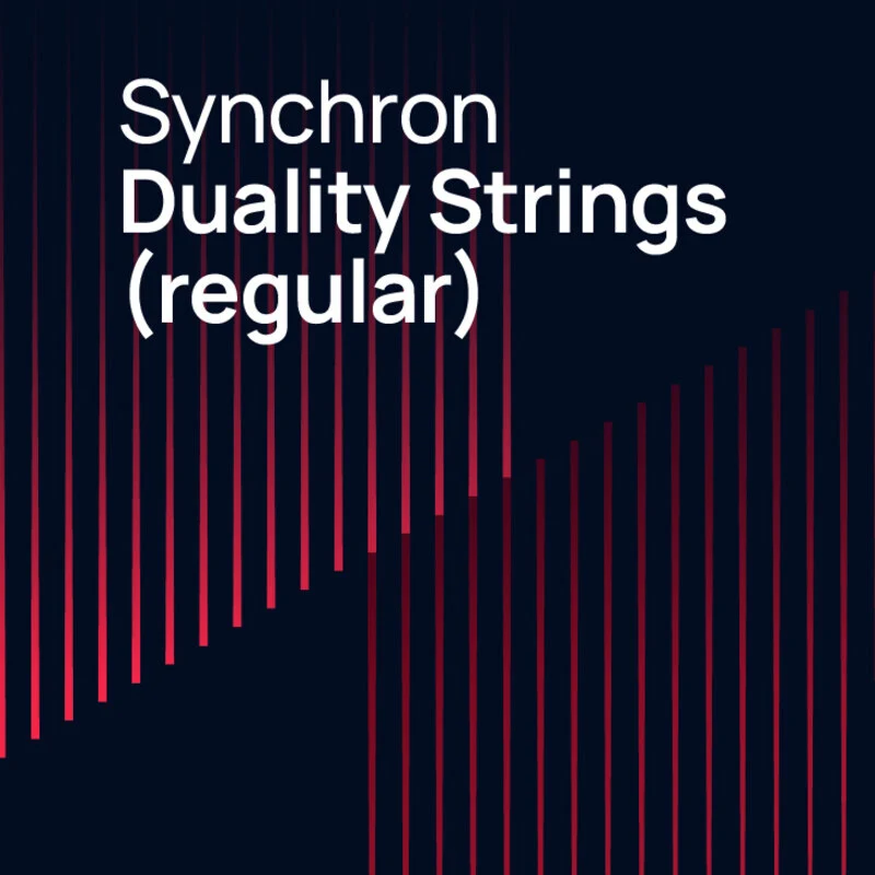 Vienna Symphonic Library Synchron Duality Strings (regular) 雙廳弦樂音源 Standard Library (下載版) - 主圖