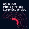 Synchron Prime Strings I 大編制弦樂音色庫 (下載版)