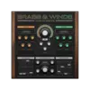 Analog Empire: Brass & Winds 類比合成器銅管／管樂音色庫音源 Plugin (下載版)