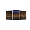 Sonic Atlas Temple Drums of India 印度神廟鼓 3 款擴充音色套組 (下載版)