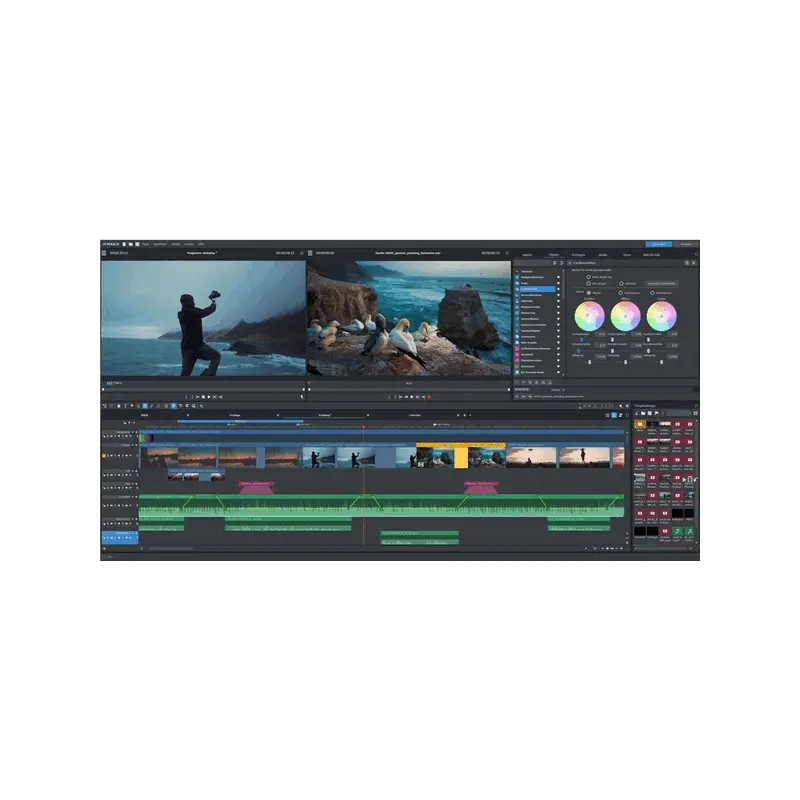 MAGIX Video Pro X 365 專業影片剪輯 一年期訂閱 (下載版) - 主圖