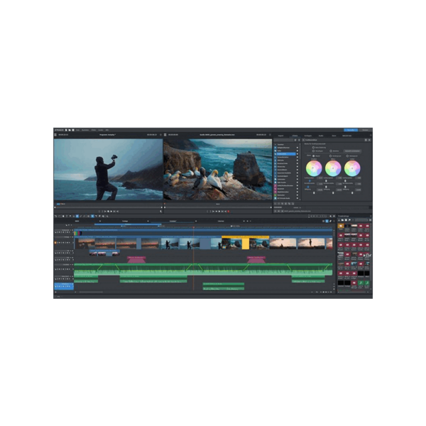 MAGIX Video Pro X 365 專業影片剪輯 一年期訂閱 (下載版) - 訂閱制軟體