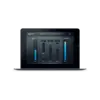Punch 人聲動態衝擊 Plugin (下載版)
