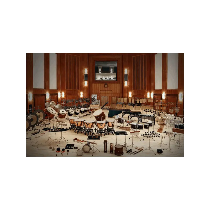 Vienna Symphonic Library Synchron Percussion Bundle Standard 管弦打擊樂音色庫套組 (下載版) - 主圖