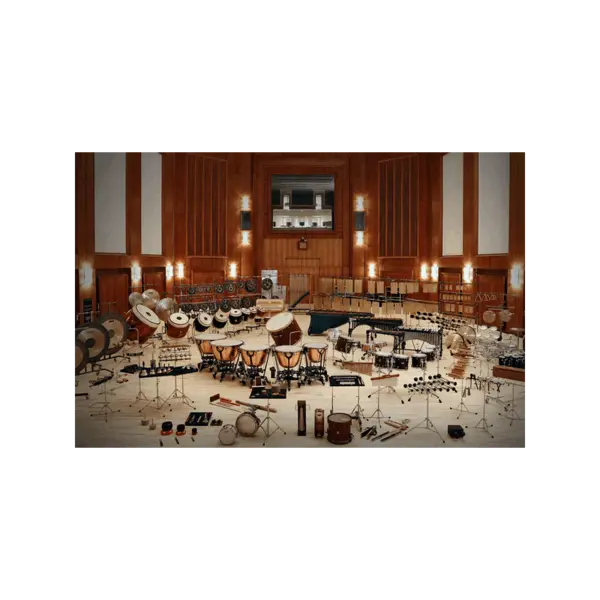 Vienna Symphonic Library Synchron Percussion Bundle Standard 管弦打擊樂音色庫套組 (下載版) - 產品圖片 1