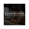 SSD Blackbird Expansion 鼓音源擴充音色 (下載版)