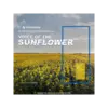 Voice of the Sun - Sunflower 烏克蘭女聲音色庫 (下載版)