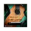 Brad Hoyt's Harp Guitar 豎琴吉他音色庫 (下載版)