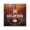 Sitarion 電西塔琴音色庫 (下載版)