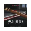 Solo Duduk 亞美尼亞杜杜克音色庫 (下載版)