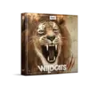 Wildcats 大型貓科動物音效庫 (下載版)