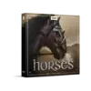 Horses 馬匹音效庫 (下載版)