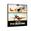 P-51 Mustang P-51 野馬戰鬥機音效庫 (下載版)