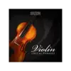Lyrical Violin Phrases 抒情小提琴樂句音色庫 (下載版)
