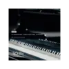 BBC Symphony Orchestra Piano Professional 鋼琴音源 Plugin (下載版)