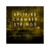 Spitfire Chamber Strings Professional 弦樂音源 Plugin (下載版)