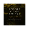 Spitfire Studio Strings Professional 弦樂音源 Plugin (下載版)