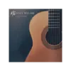 Soft Nylon Guitar 吉他音源 Plugin (下載版)