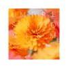 Impressionism 管弦樂音源 Plugin (下載版)