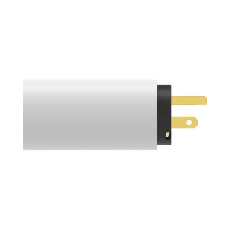 SilentPower (ifi Audio) AC iPurifier 電源淨化器 - 產品圖片 2