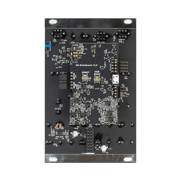 4ms Looping Delay (LD) 模組化合成器 - 產品圖片 2
