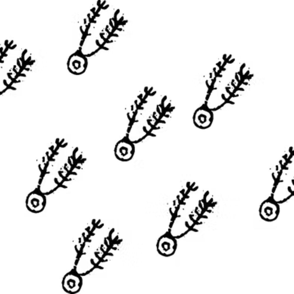 Manifold Research Centre Antilope - 產品圖片 2