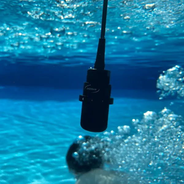 Ambient Recording ASF-2 MKII 水下麥克風 - 產品圖片 3